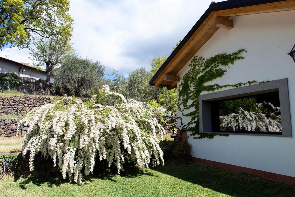 Domus Verdiana Ragalna Szoba fotó